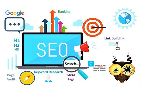Dominate Search Rankings with Expert WordPress SEO